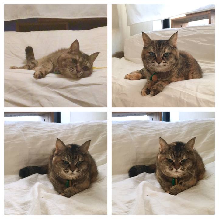 B123ec31 fab8 4a82 b4b8 67e711035ed0