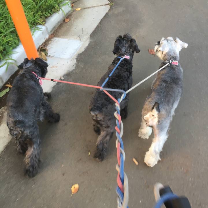 B123fce9 83c8 4fcc b5b8 c126832d30ae