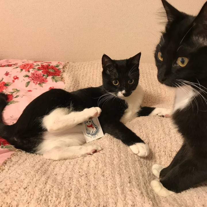 B1241cc7 b77a 442e bc72 24fb4f0d234a