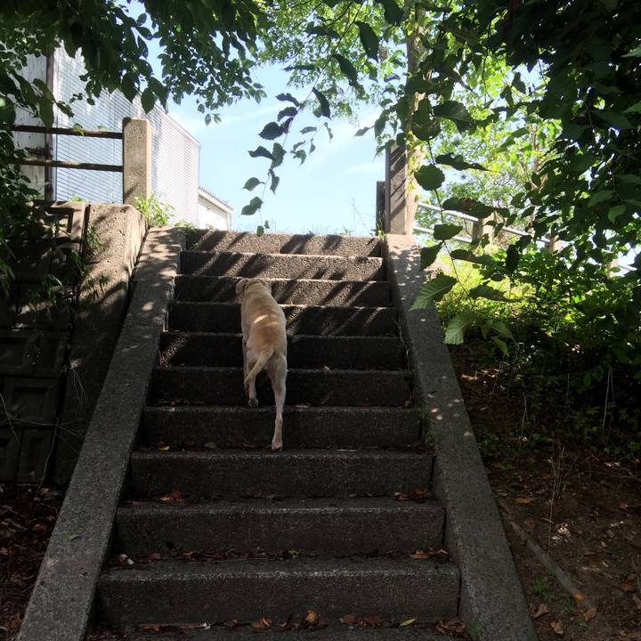 B124bef0 d367 497c 9e96 e3d606488c79