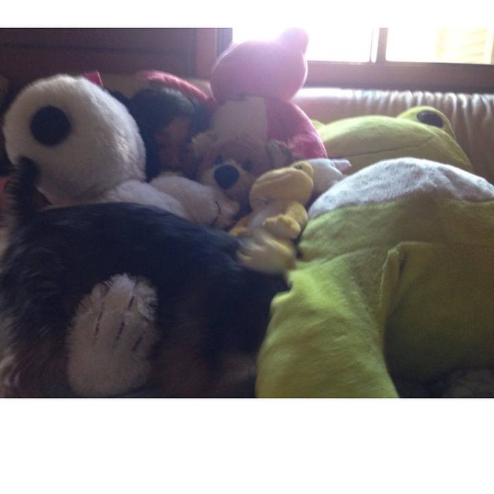 B1250495 277a 4ca0 8203 8215b5b8a16e