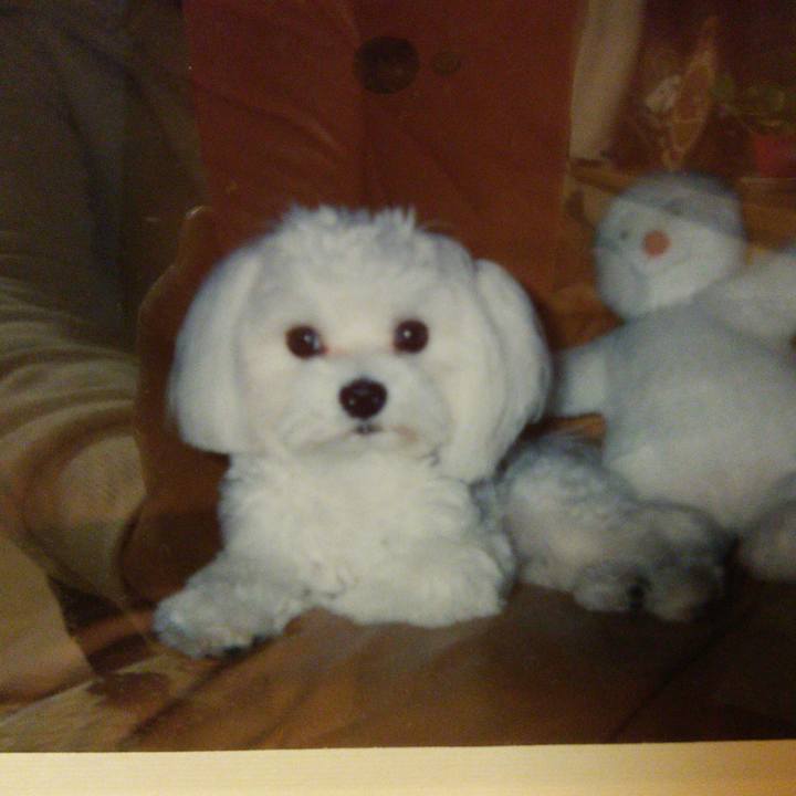 B125608e e8ee 4986 abac cb7407dd9ccb