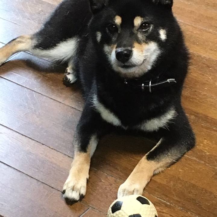 B1262ce3 b931 41cf 98b3 c1d81e1ec7e8