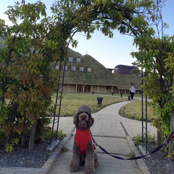 B12637ea cc5d 422b 873f 342f7e47e804