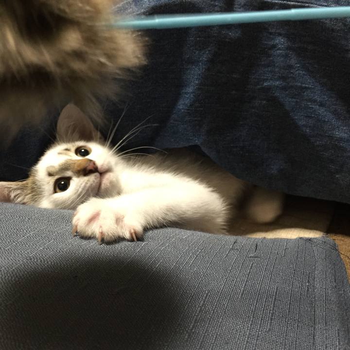 B1266a8e 3cf9 47c7 a955 a4d71e9bd510