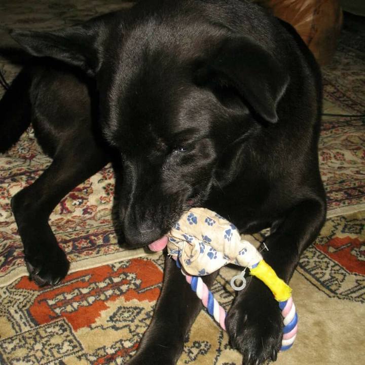 B126b75f 0933 4c79 9b1f f9ba059d7aaa