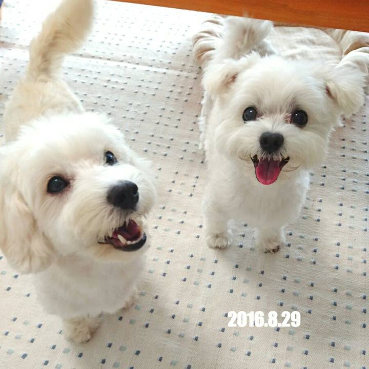 B1270c73 3c80 4e94 85dd 34786ddea005