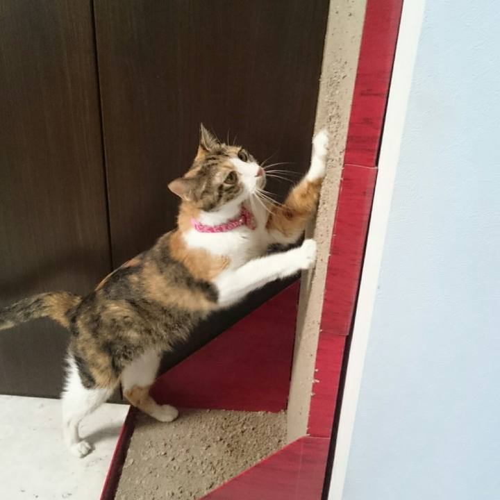 B1272226 24bd 4d44 b0f6 fee6ba7faa77