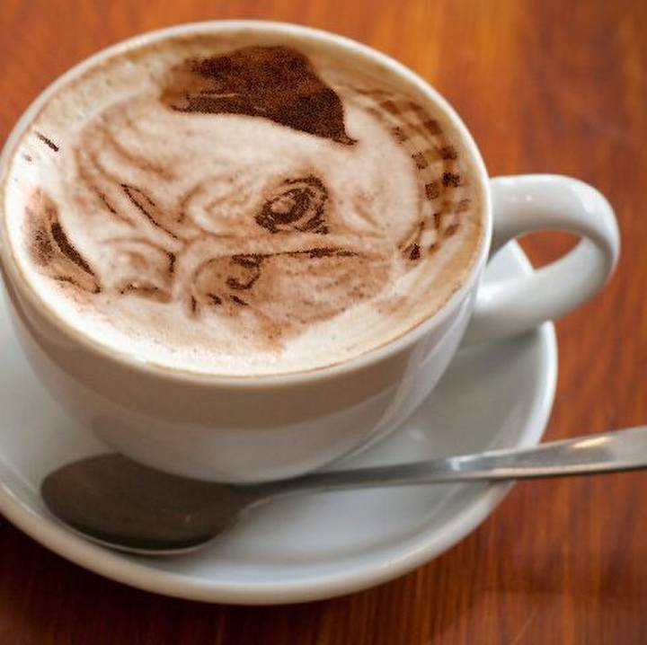 B1272fcf 8c9a 435d ae4f 307769d9c2b6