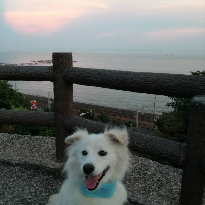 B12774cc b816 486c bc7b 6ae5f1c07154