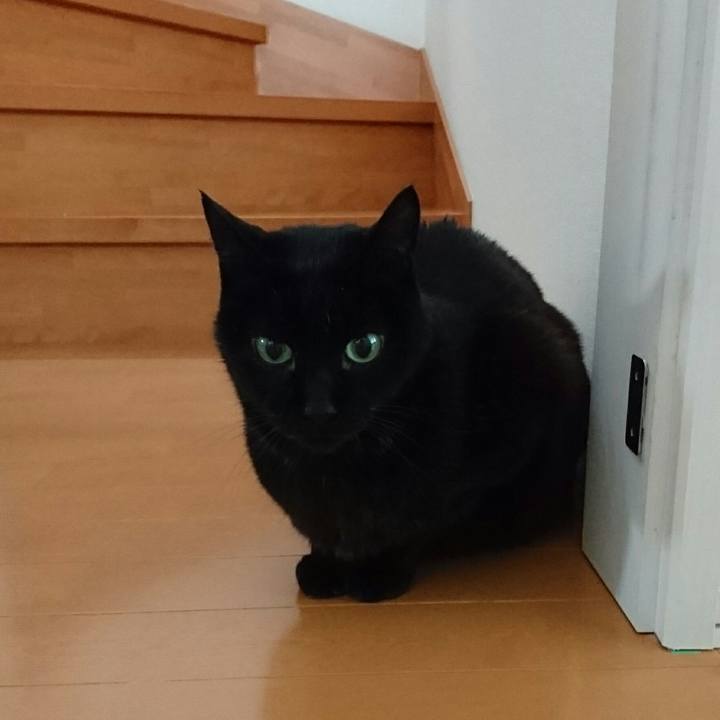 B1278abc fb1c 4ddc ae04 9c32499bf746