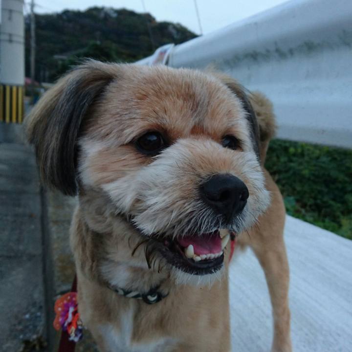 B1281b20 cdf1 41ca a2a4 5eb67afa98a0