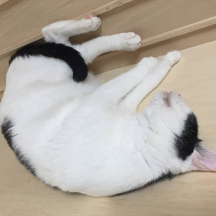 B1283c37 af66 4a54 b4f4 5cb008cc457f