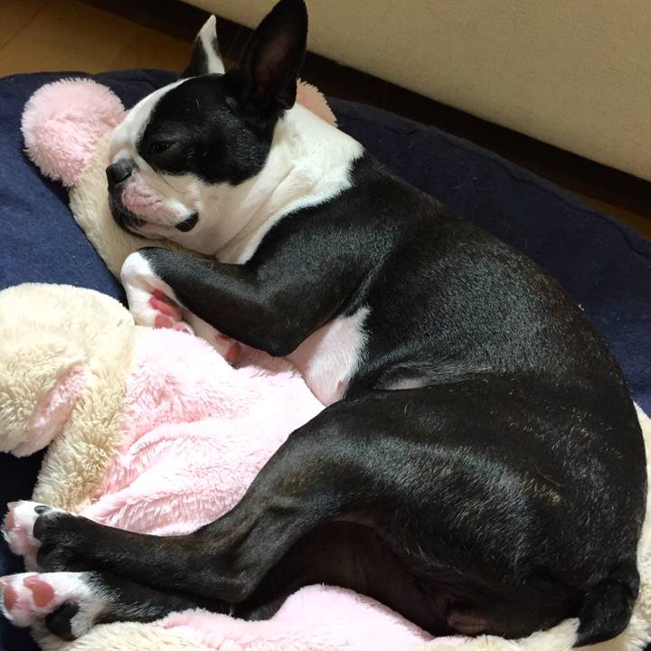 B1287a0a 81c7 4cbb 92b8 ffb58dcddaea