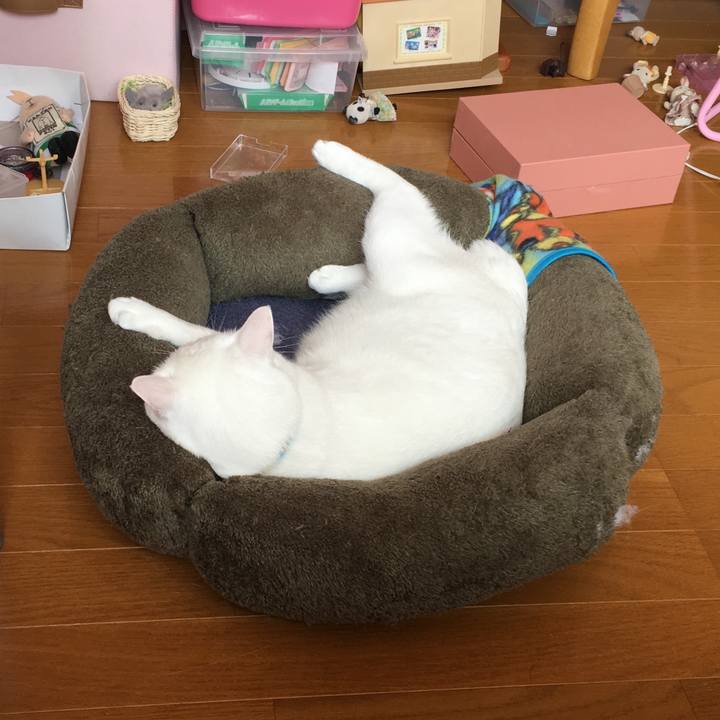 B128de2e d370 4f0f afe1 d1f7db364652