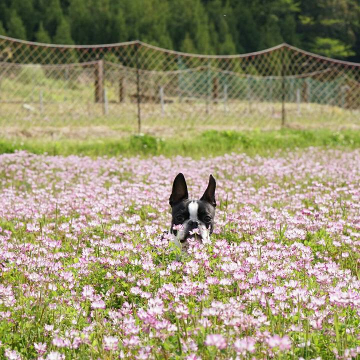 B1294f8a 3b7e 40fc a41f 47de655125bb