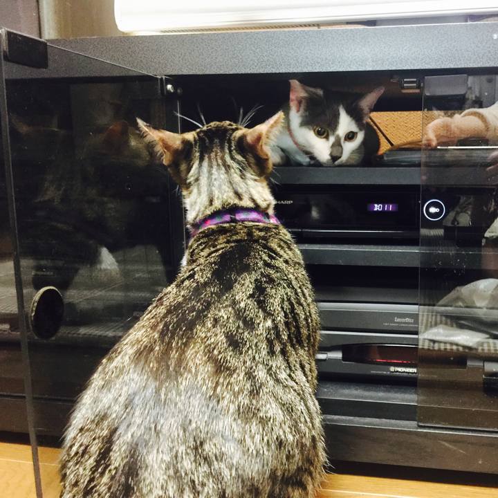 B12987b6 c5ba 4487 8272 2b6f0c6c4a97