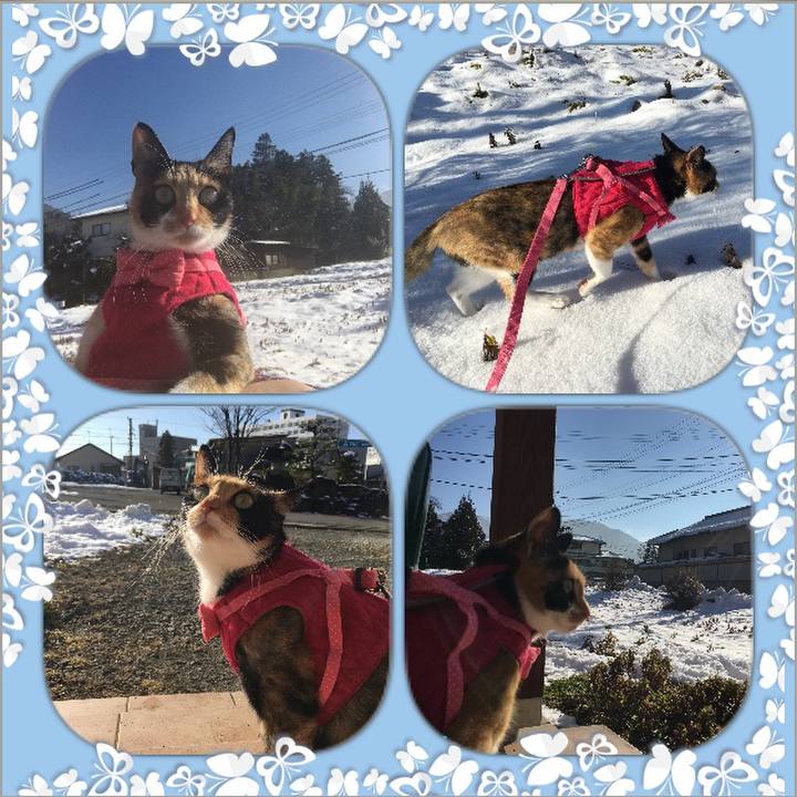 B1299d57 9933 4c0c 8ffd 5526cf5d74c3