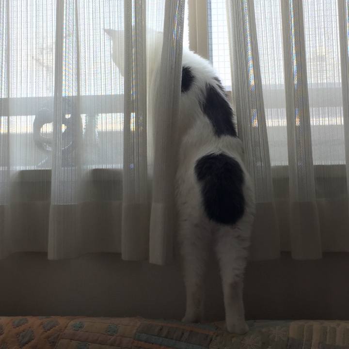 B129b7e9 5f61 4bbd 8d39 0355e424e1ac