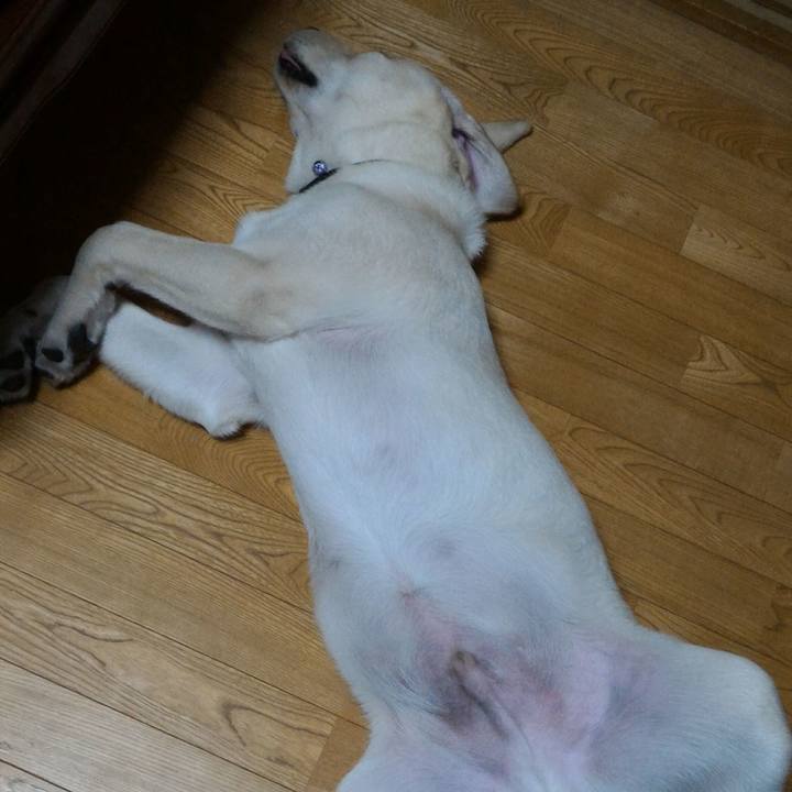 B129bd76 8263 4721 a357 e2f1957c54e8