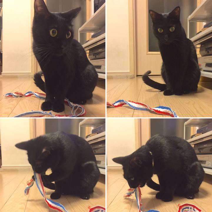 B12ac20d d135 4060 ad1c d40dd490b24a