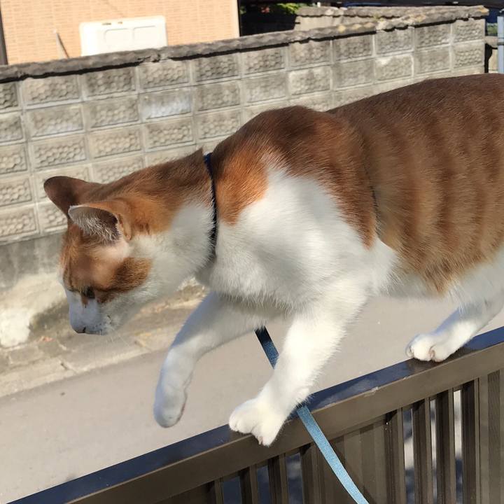 B12b052a 3b4d 4522 b8bb 447f0434ac8d