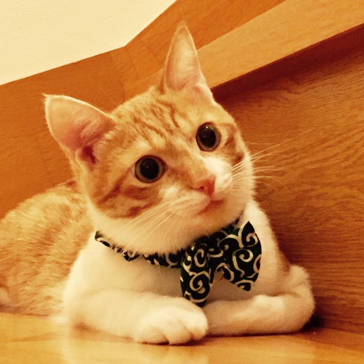 B12b4e66 6a7a 45ea 8825 2d2f99ceff66