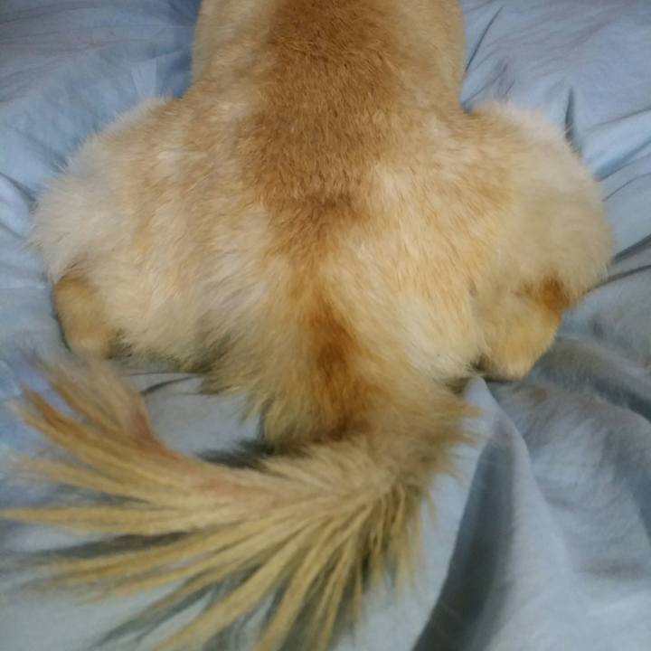 B12e120a d343 4cfe a959 5ec7e6f7fa45