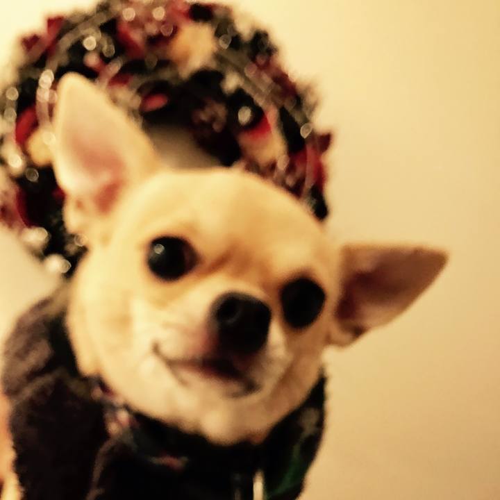 B12ea266 e469 4a2b 90a9 caa6e5e02907