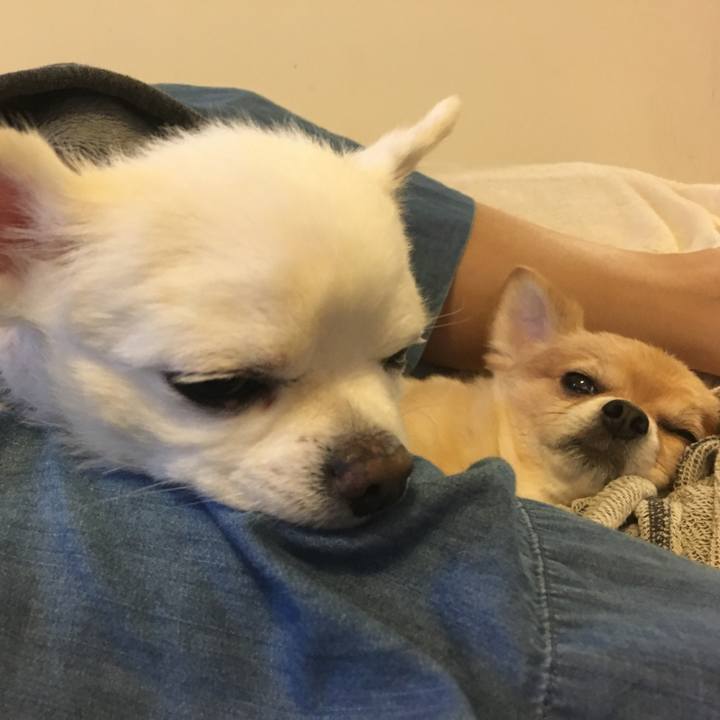 B12f335e fbc6 4ec4 8487 10ce9f2148ff