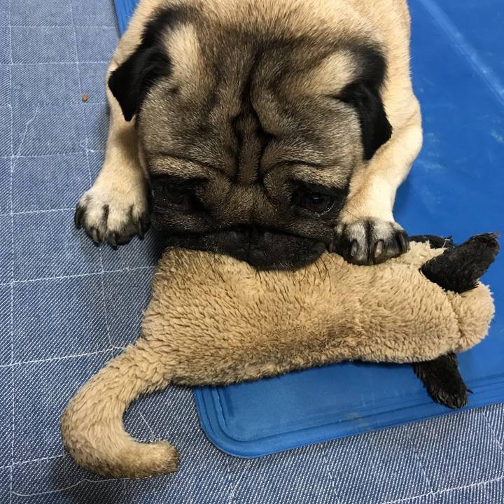 B12f5362 b162 47b6 af38 1151ac9a1da5