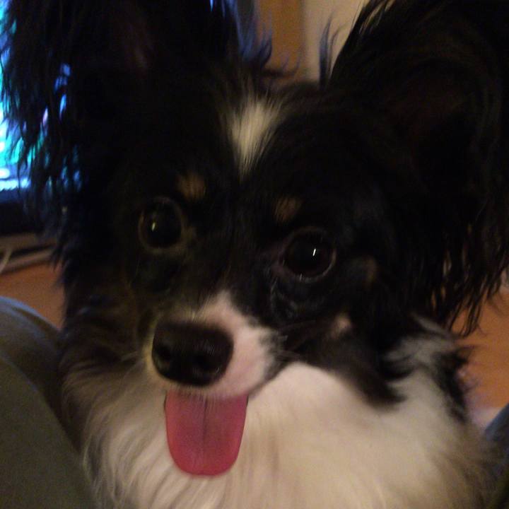 B12f8304 e7c7 4357 9786 a87f2513e0ec