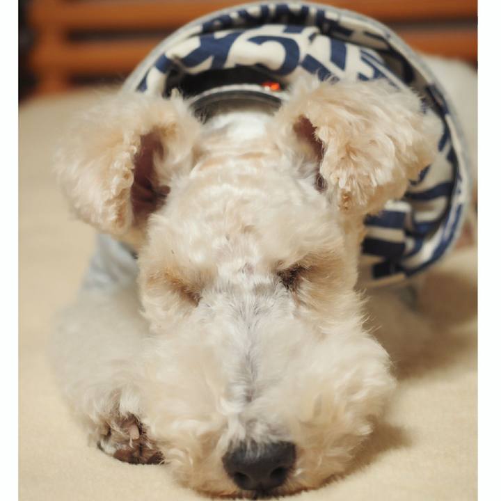 B12ff20c 0ee2 4bb3 b2b3 3ee0a08c2167