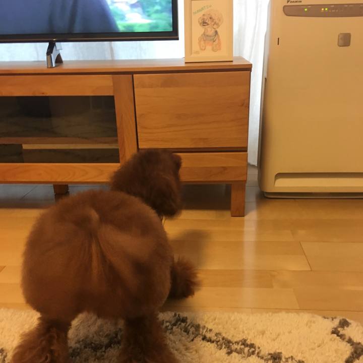 B12ff286 561b 4dd0 b9a6 36d080df93ab