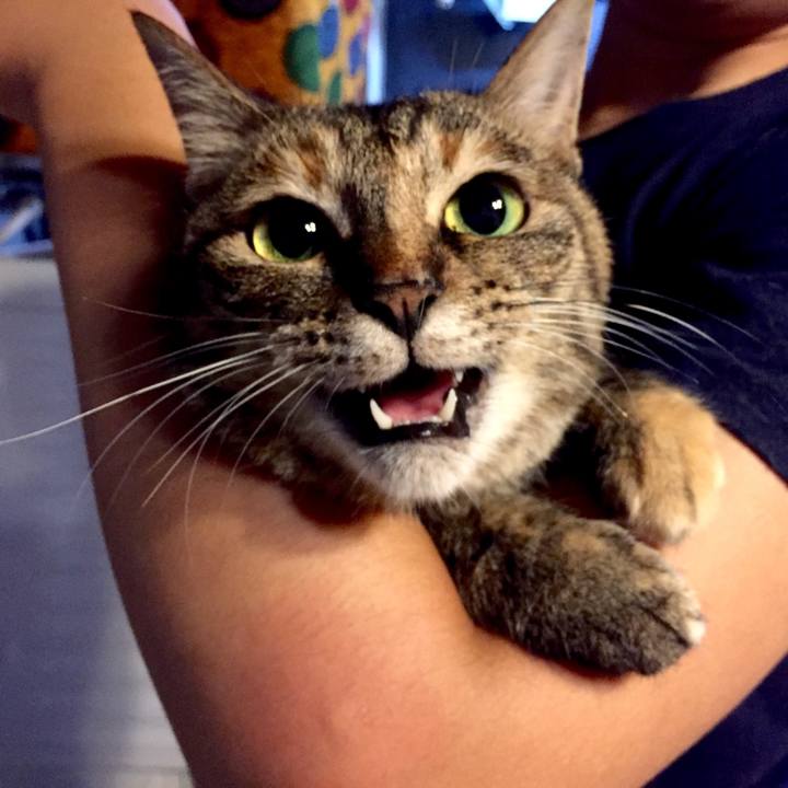 B13018d7 32b6 4b37 9517 845c23aea007