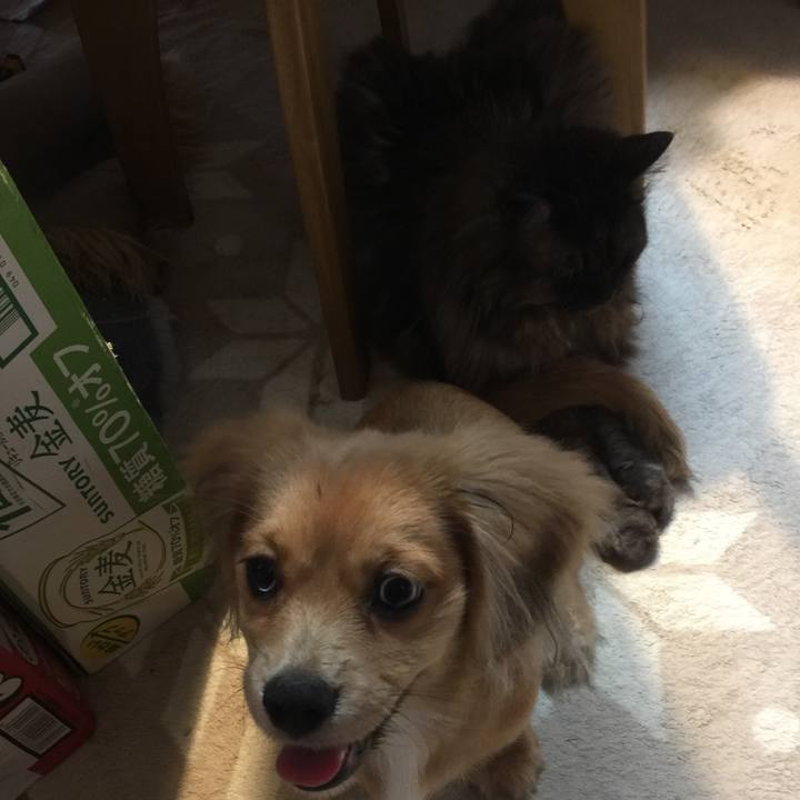 B13087d6 956a 4aee 9f51 a60c9c188d0f