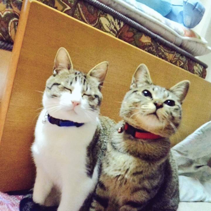 B130c832 6c90 4562 b965 e0634903016c