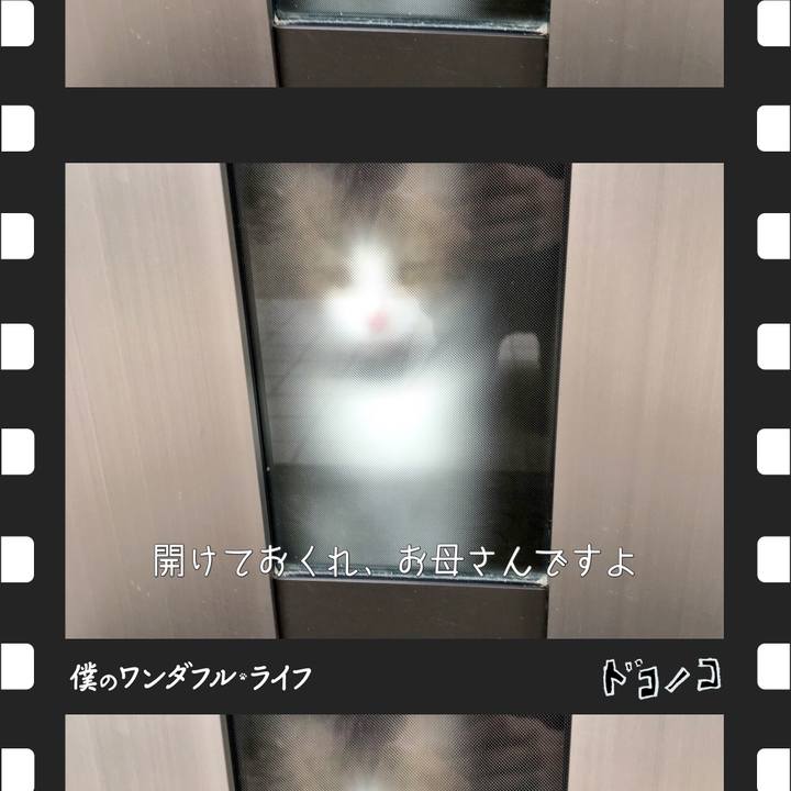 B1320aec 6db8 43be a3d7 37590b162ed5