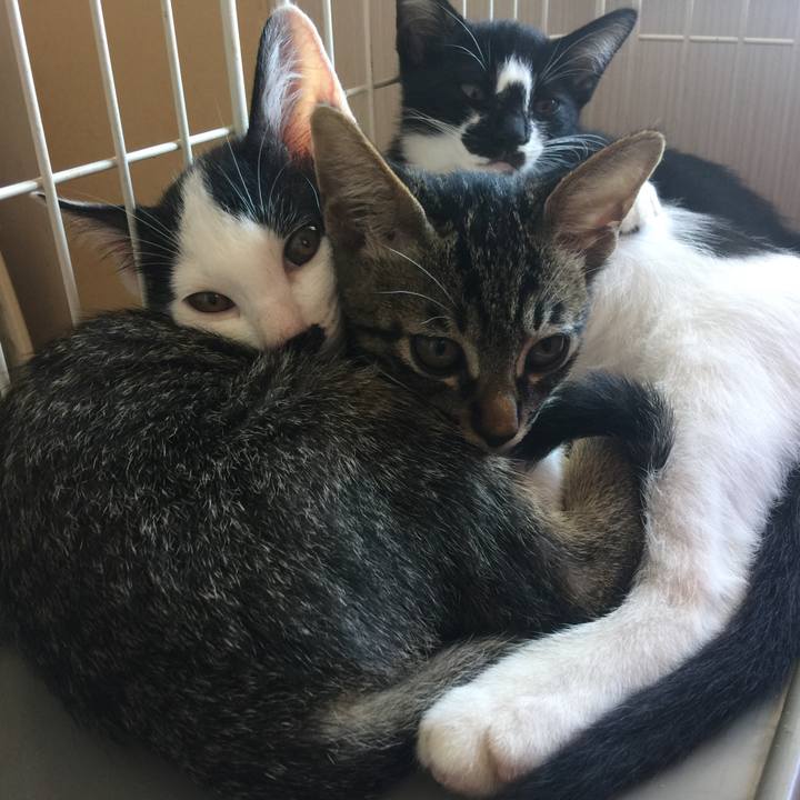 B132cc06 5b7d 4dd1 a3b1 f0ae8678ed7d