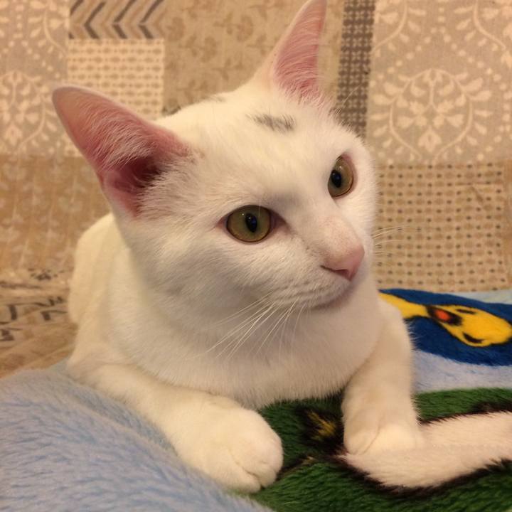 B133d2cd 98f7 48ec bc1a 6a95e959acca