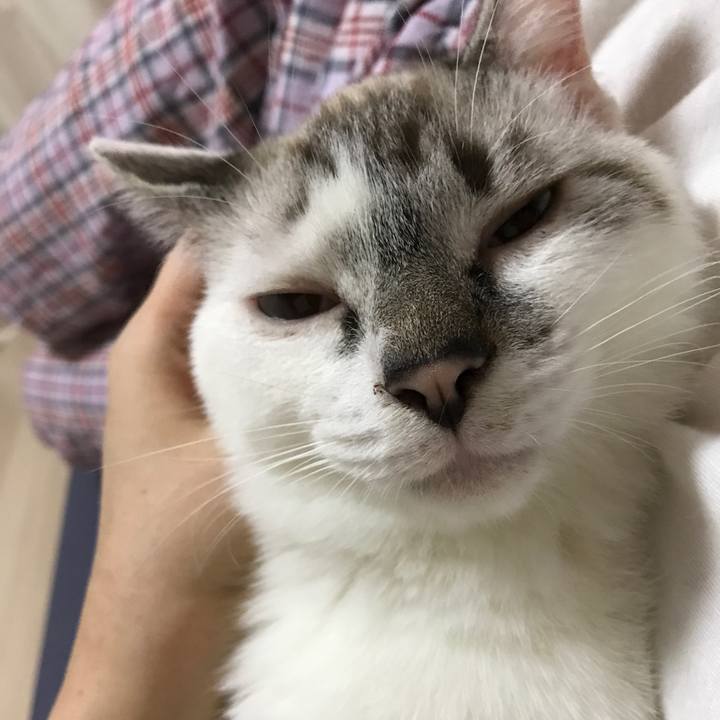 B1340719 7d34 4ed5 9be9 0ab7ad57e1fb