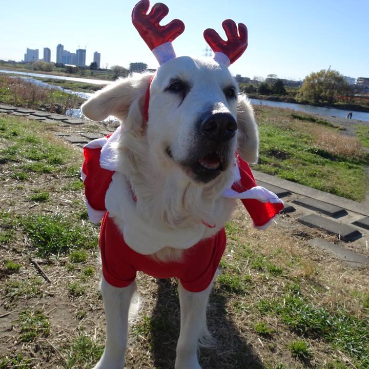 B13463a4 6964 4c35 8dff d21d80dda921