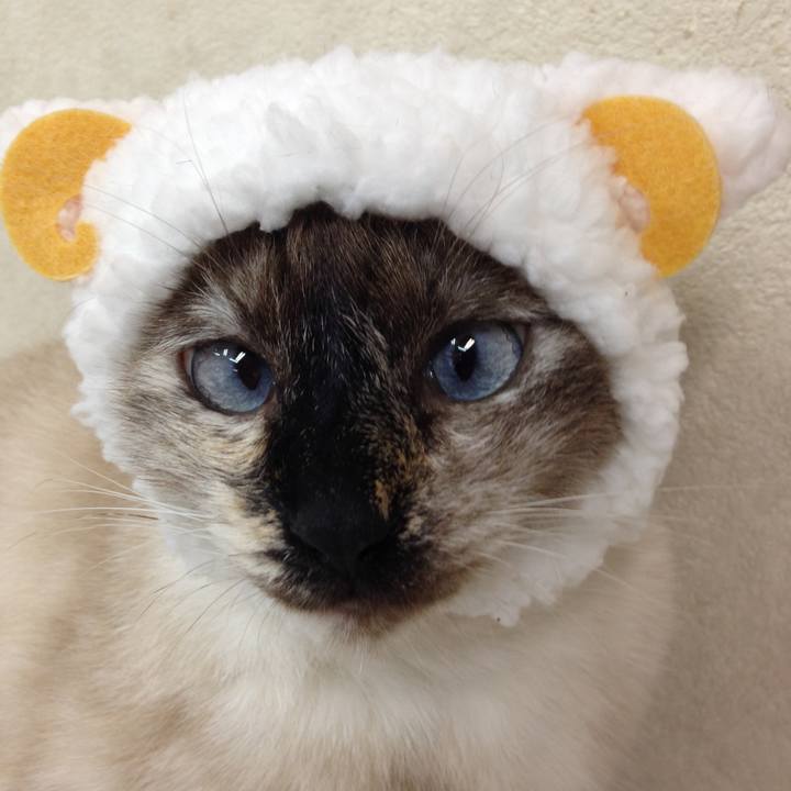 B134af33 df12 45f5 9497 e7471911d952