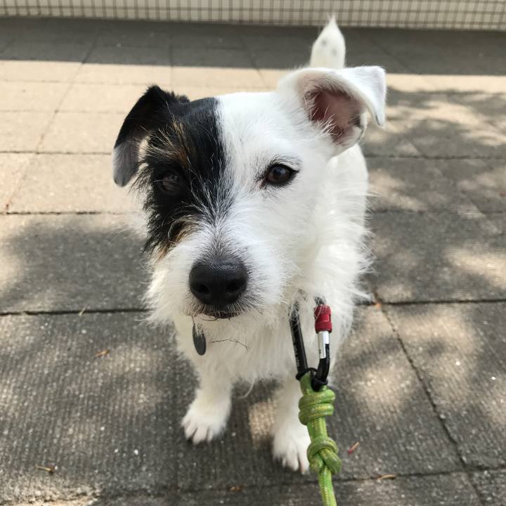 B13507be 824f 4998 8395 52ea299d76c1