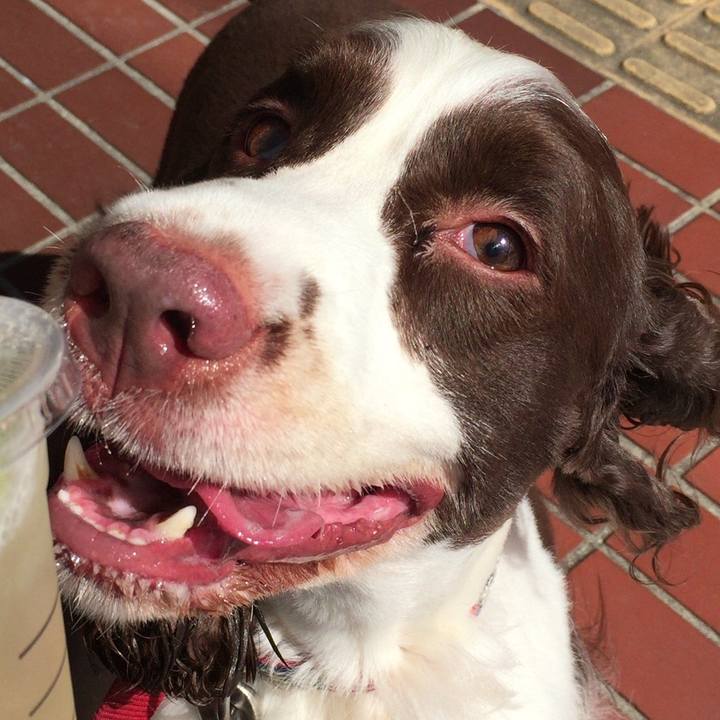 B1354d70 3f00 4502 a724 0f01e9e8a345