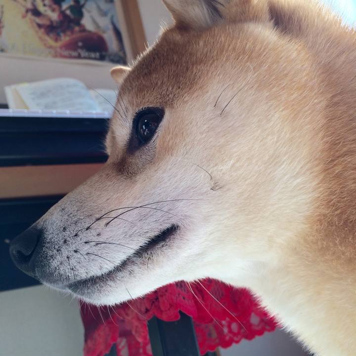 B135fe26 4fdd 47df 94cd 6d6122629f99