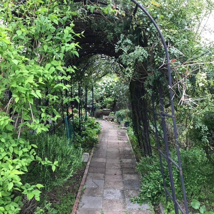 B136e7cb 9d93 4569 92bb afb842082ed4