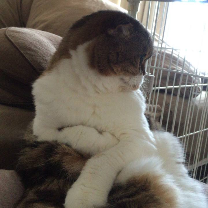 B1373b1c f737 423c 8551 e14501e1f3a0