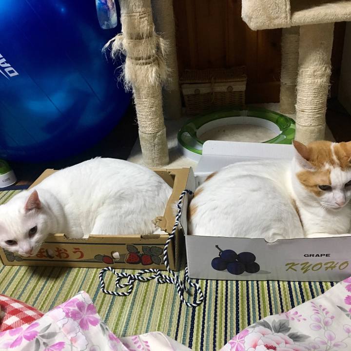 B1374316 c7fa 4fb3 89be 5a817ca5c680