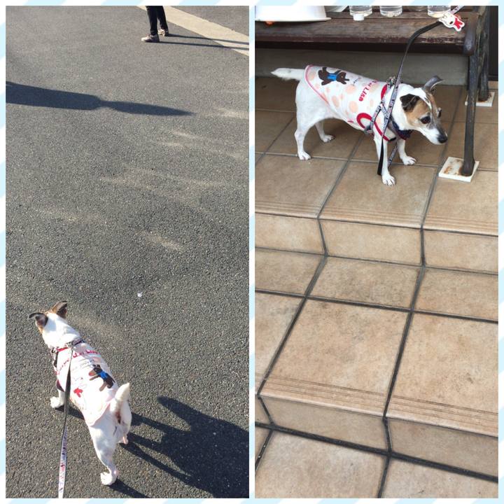 B13977ba 5e0c 4667 9f17 0fc042e8bf5f